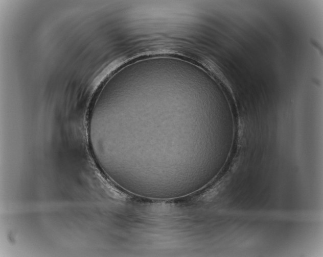 X0000102470789200808081249