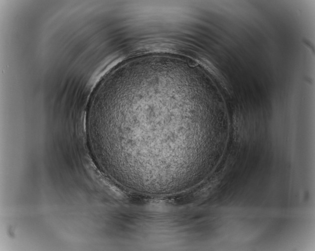 X0000102470790200808081249