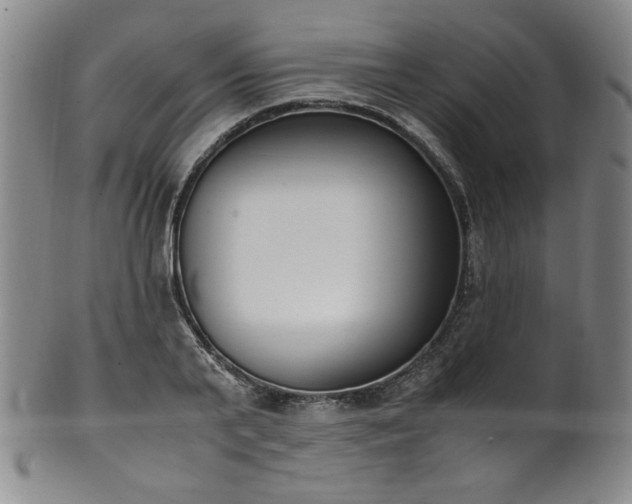 X0000102470791200808081249