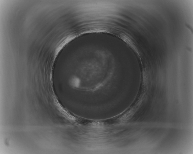 X0000102470797200808081249
