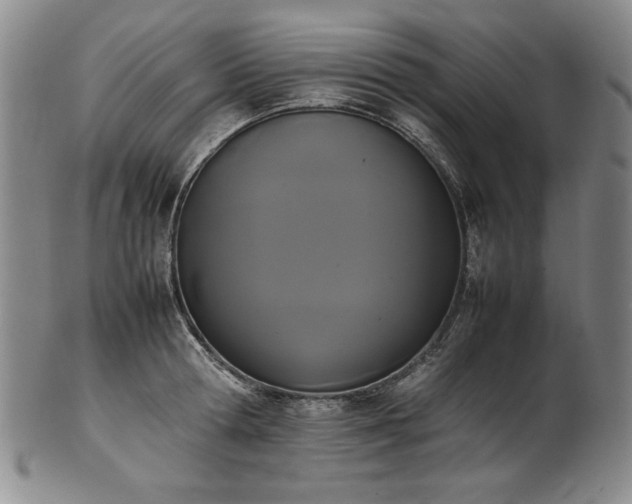 X0000102470802200808081249