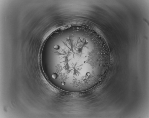 X0000102470803200808081249