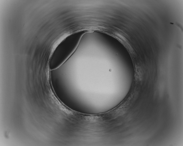 X0000102470804200808081249