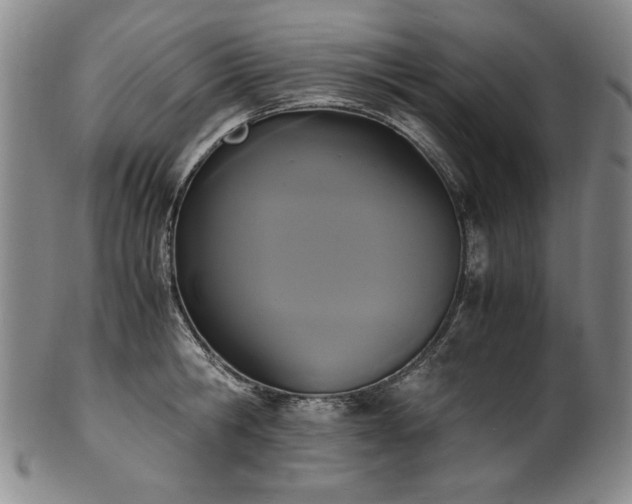 X0000102470806200808081249