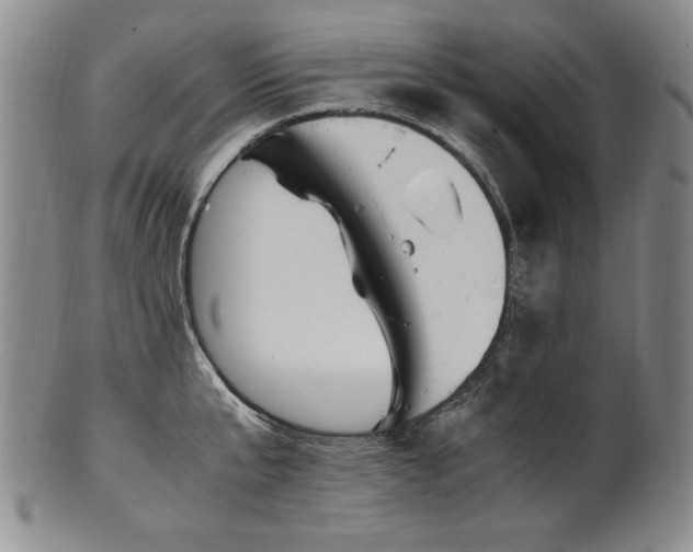 X0000102470807200808081249