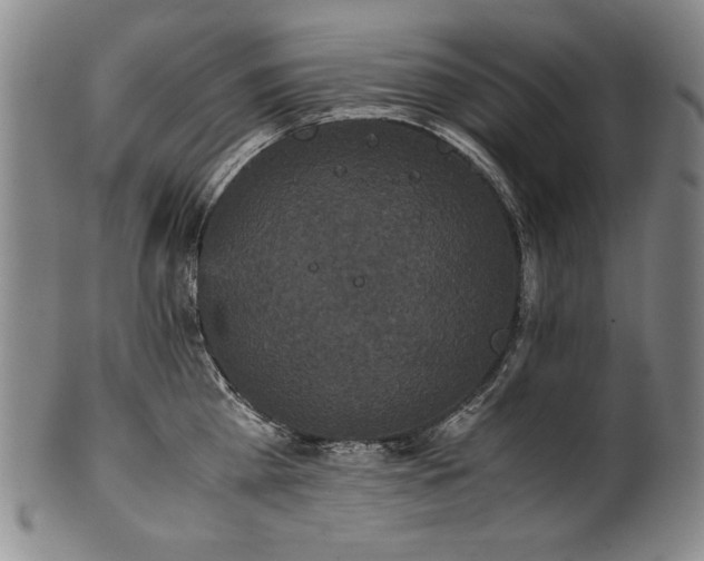 X0000102470809200808081249