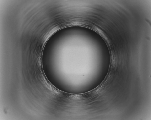 X0000102470810200808081249