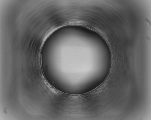 X0000102470816200808081249
