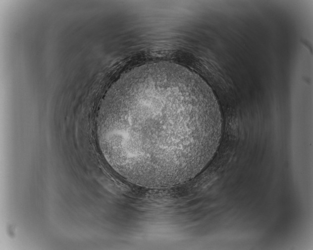 X0000102470817200808081248