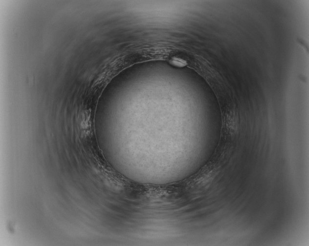 X0000102470818200808081248