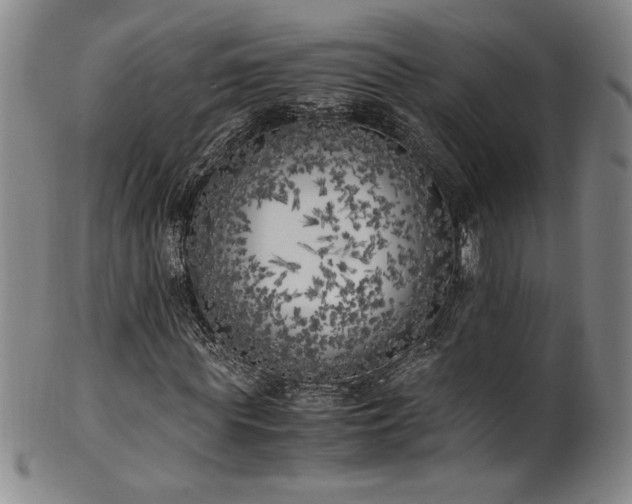 X0000102470819200808081248