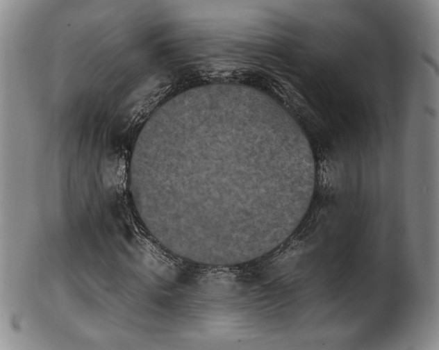 X0000102470820200808081248