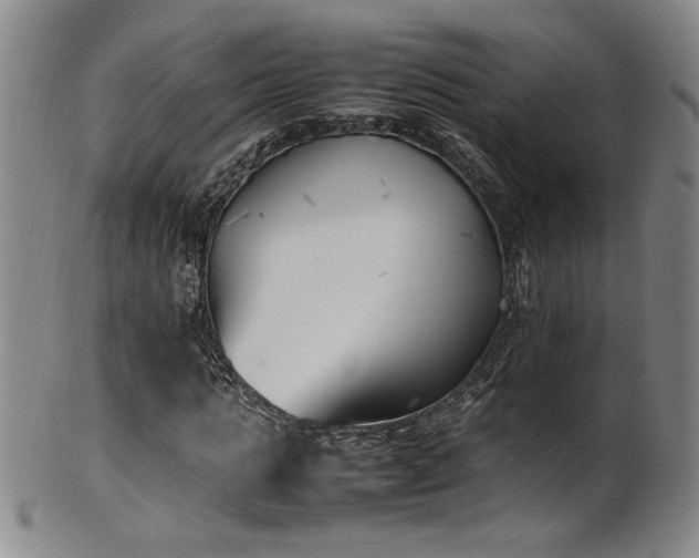 X0000102470821200808081248