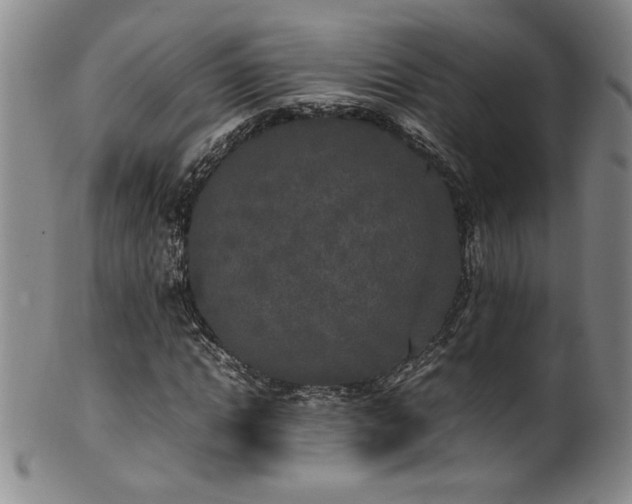 X0000102470822200808081248