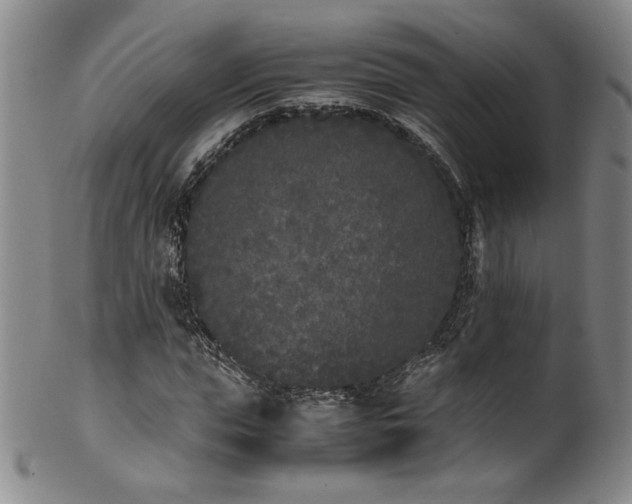 X0000102470823200808081248