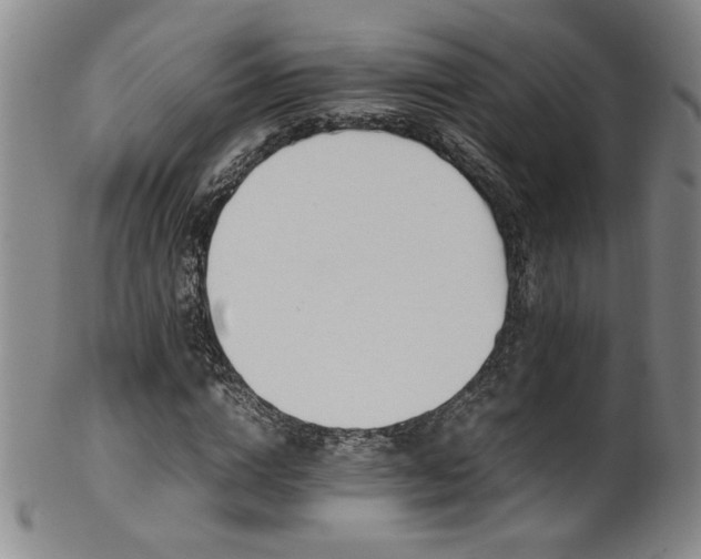 X0000102470824200808081248