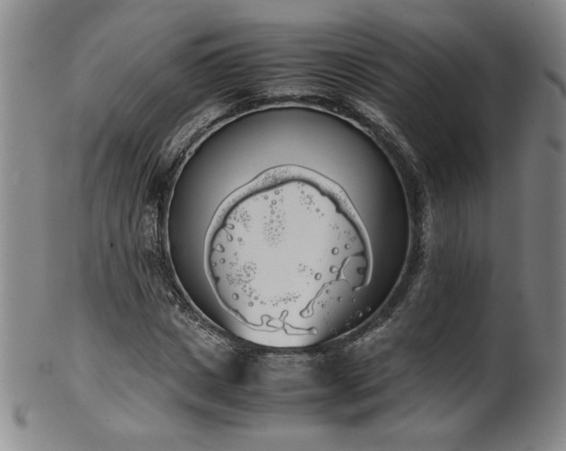X0000102470825200808081248