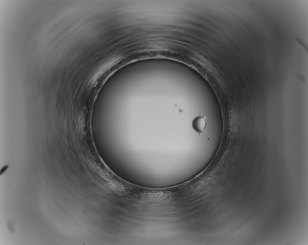 X0000102470826200808081248
