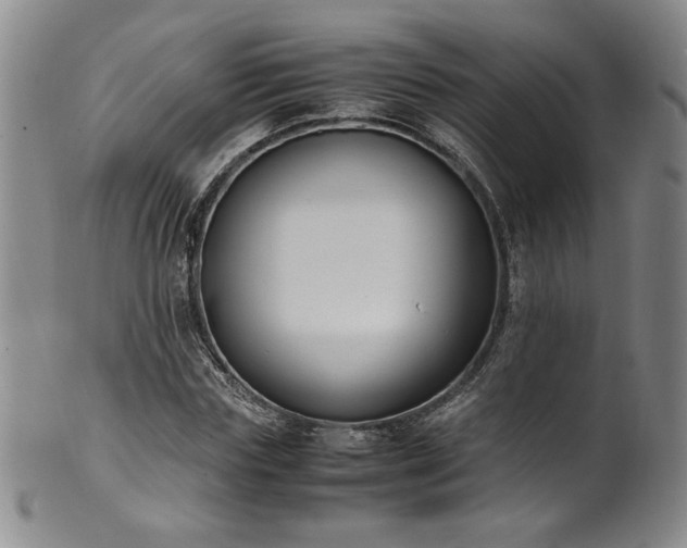 X0000102470827200808081248