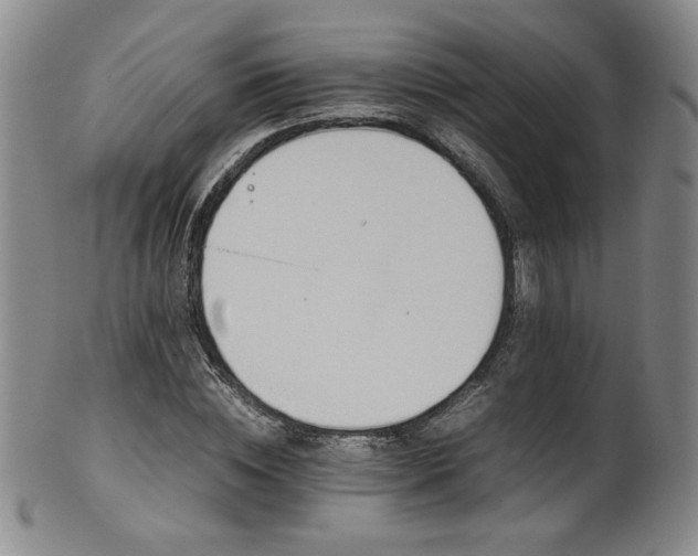 X0000102470828200808081248