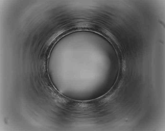 X0000102470829200808081248