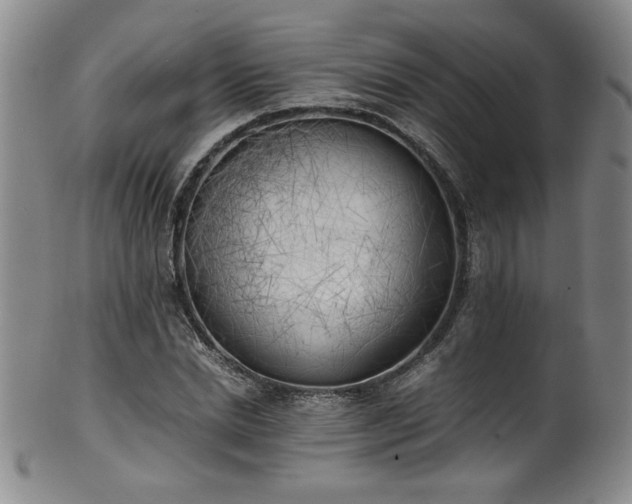 X0000102470830200808081248