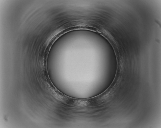 X0000102470831200808081248