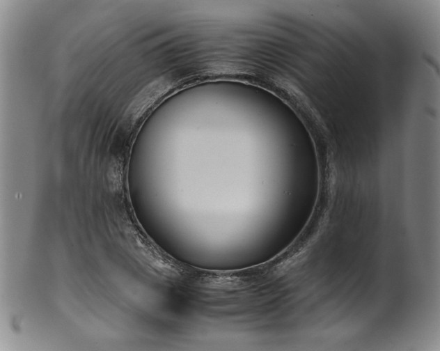 X0000102470833200808081248