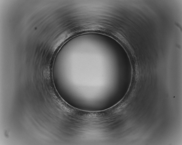 X0000102470834200808081248