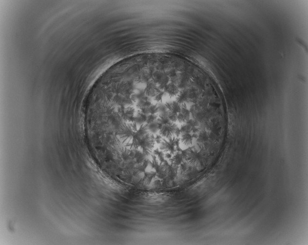 X0000102470835200808081248