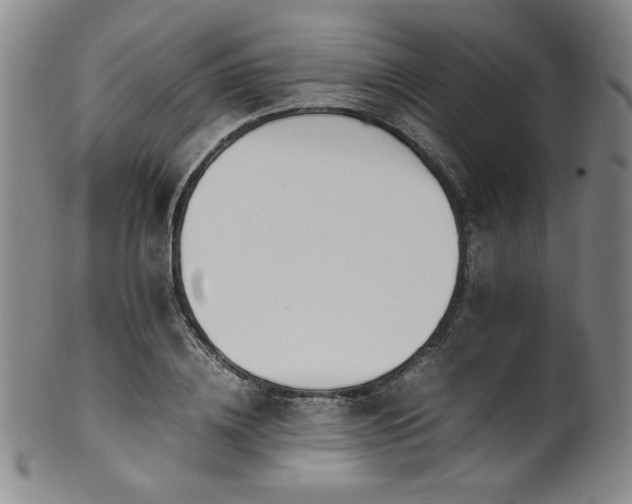 X0000102470836200808081248
