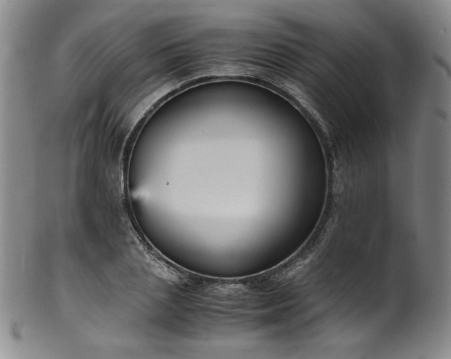 X0000102470837200808081248