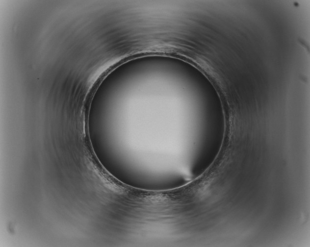 X0000102470838200808081248