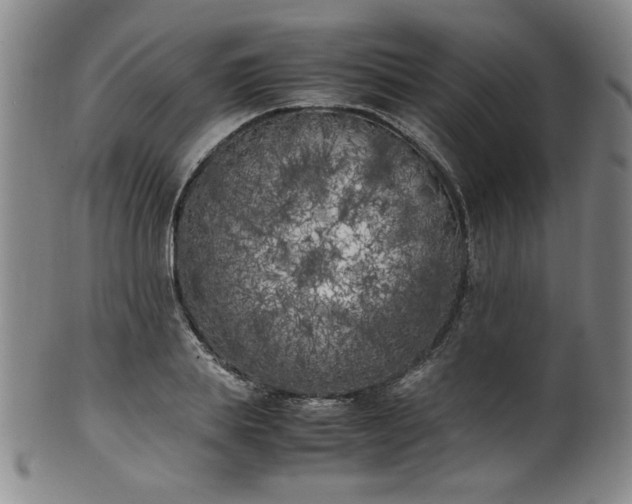 X0000102470839200808081248