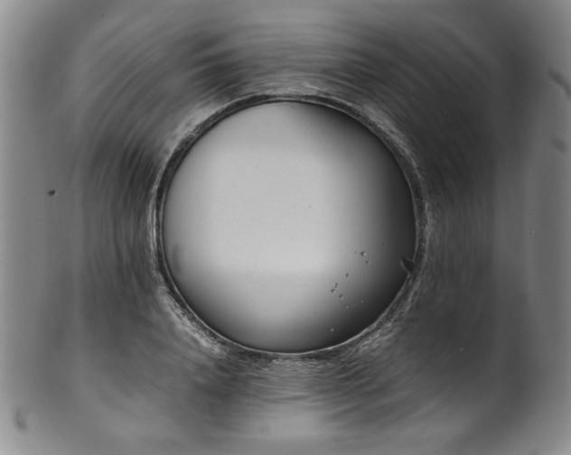 X0000102470840200808081248