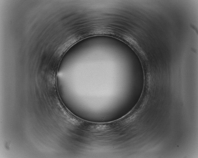 X0000102470841200808081248