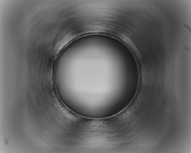 X0000102470842200808081248