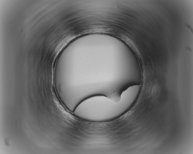 X0000102470844200808081248