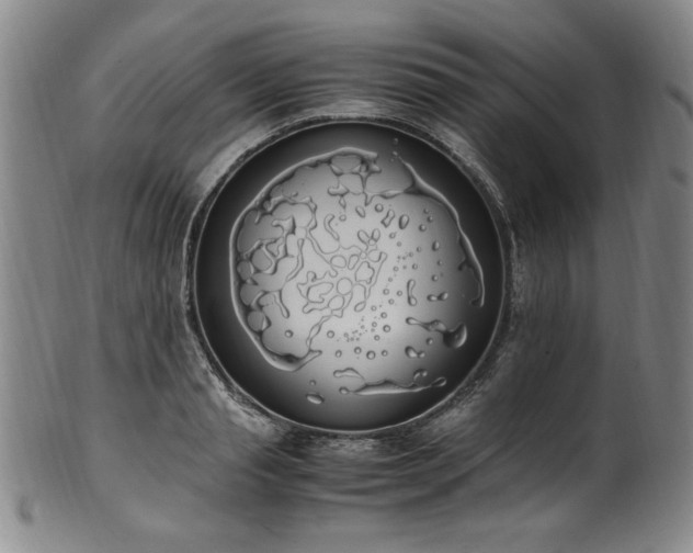 X0000102470845200808081249