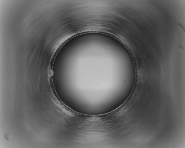 X0000102470846200808081249