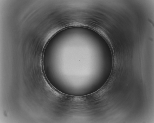 X0000102470847200808081249
