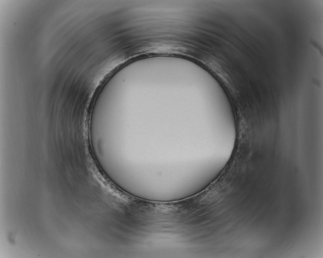 X0000102470848200808081249