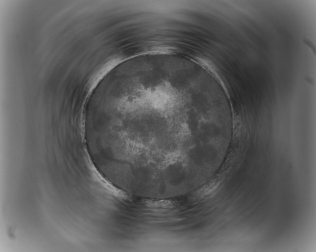 X0000102470851200808081249