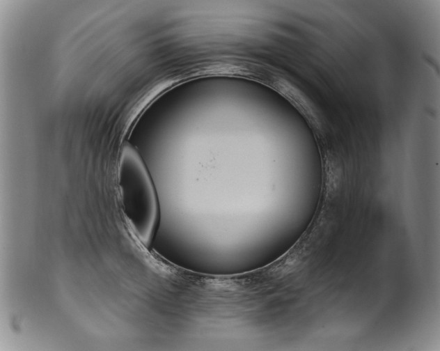 X0000102470852200808081249