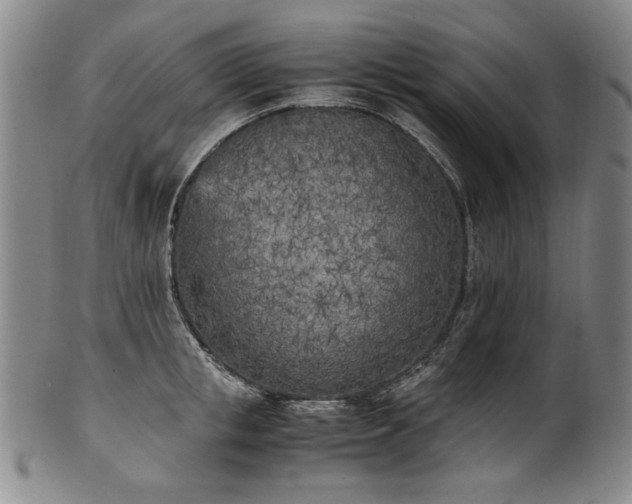 X0000102470853200808081249