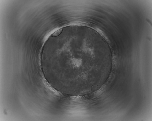 X0000102470854200808081249