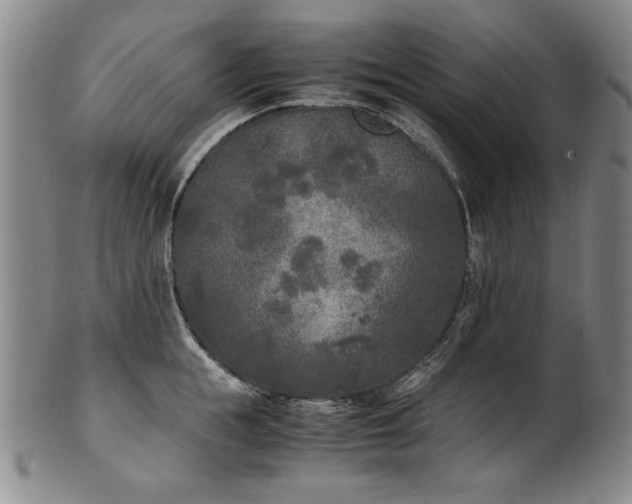 X0000102470855200808081249