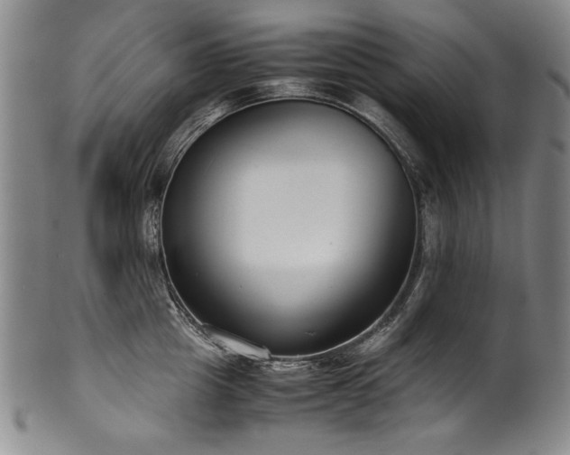 X0000102470857200808081249