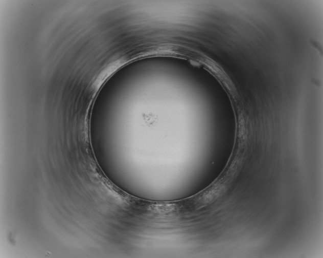 X0000102470858200808081249