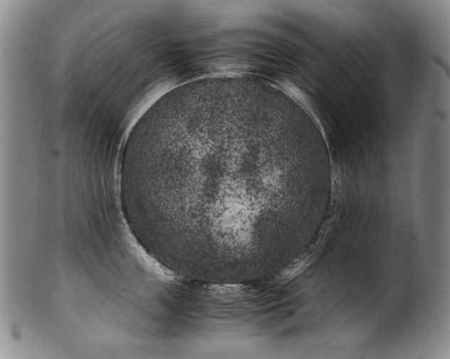 X0000102470859200808081249